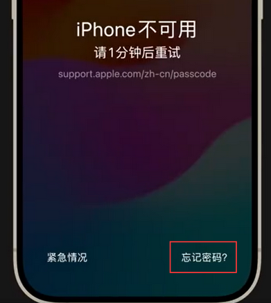 迁西苹果手机密码维修分享iPhone忘记了刚设置的密码 